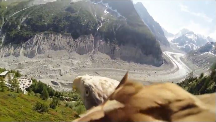 VIDEO//Pogled iz perspektive orla