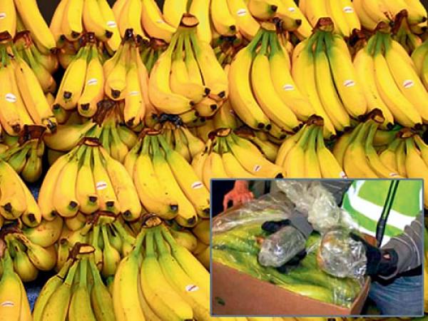 Inspekcije traže opasne banane na tržištu BiH