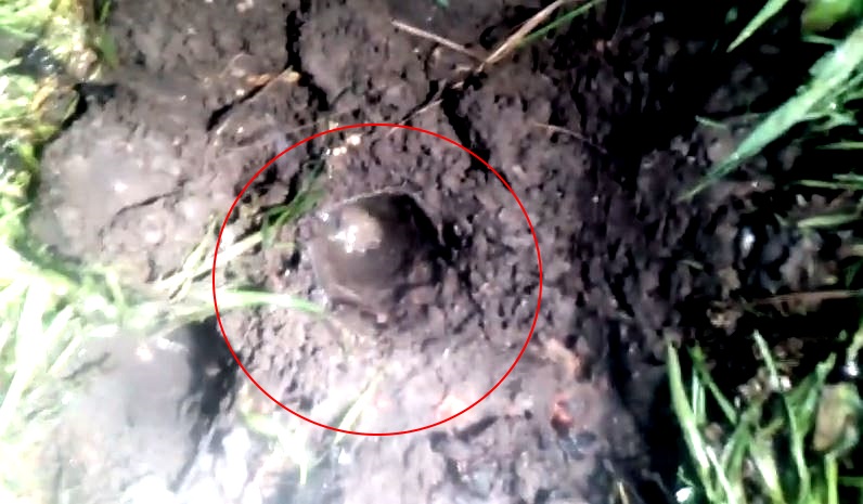 VIDEO: Ispod grada Tuzla proradio vulkan?!
